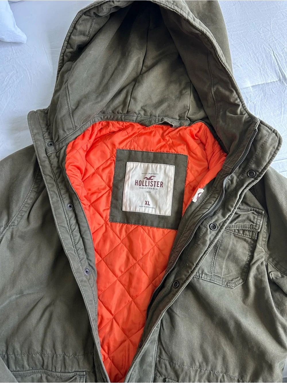 Hollister heavyweight hooded